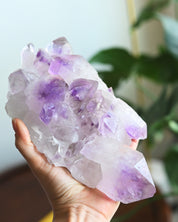 Lg Bolivian Amethyst Cluster