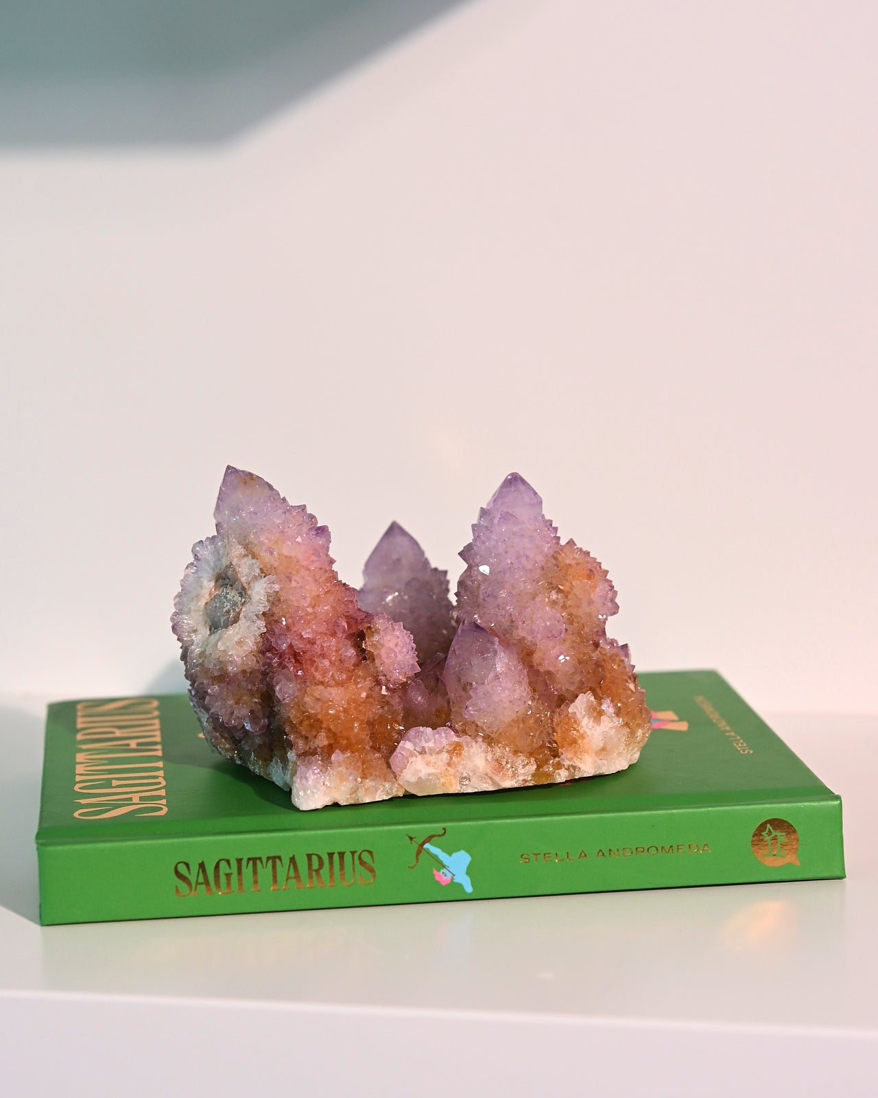 Amethyst Spirit Cactus Quartz Cluster 4in