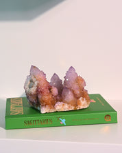 Amethyst Spirit Cactus Quartz Cluster 4in