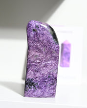 Charoite Freeform 5 inch