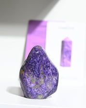 Charoite Freeform 3in