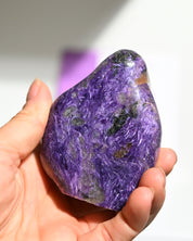 Charoite Freeform 3in