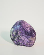 Charoite Freeform 3in