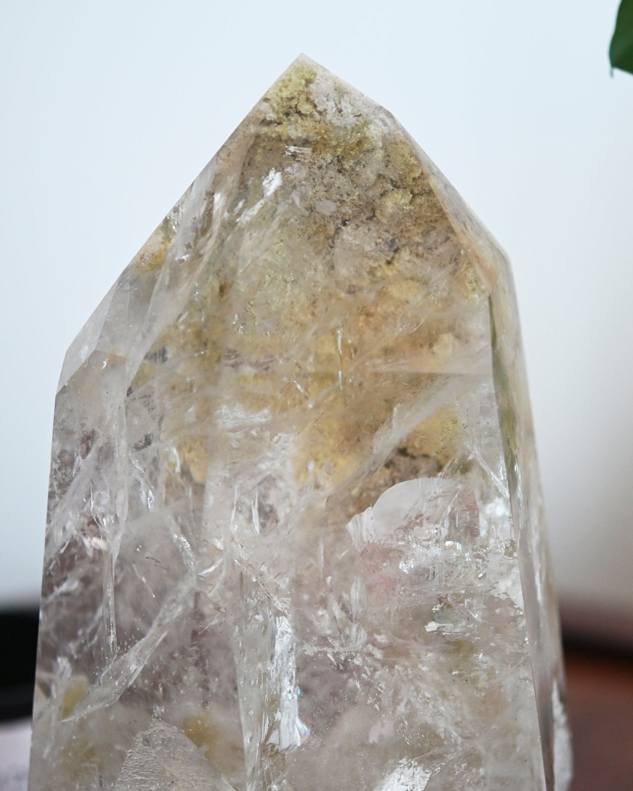 XXL Chlorite Garden Quartz on Stand 19lbs