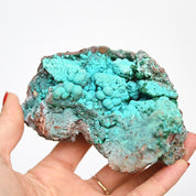 Chrysocolla Rough 4 inch