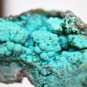 Chrysocolla Rough 4 inch