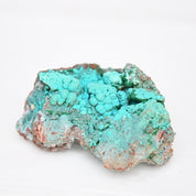 Chrysocolla Rough 4 inch