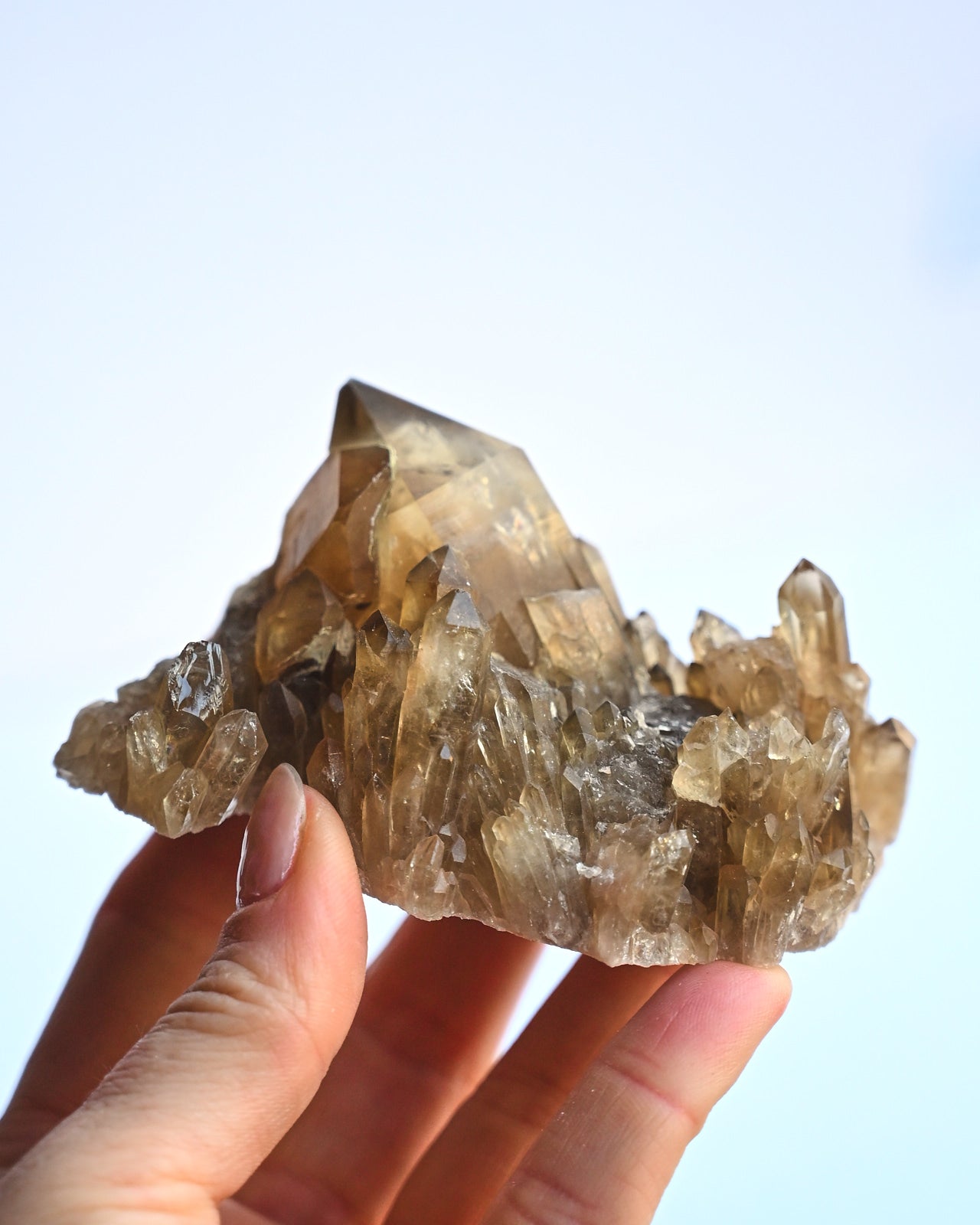 citrine--180.3--3x2--0108.jpg