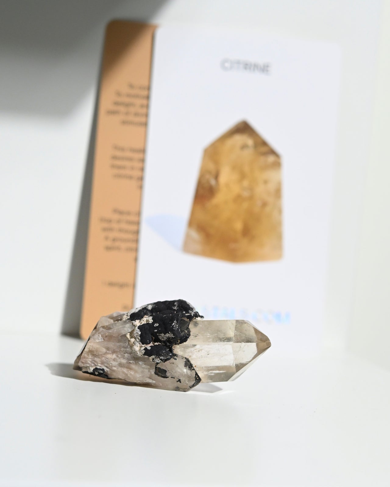 citrine--52--2x1-1311.jpg