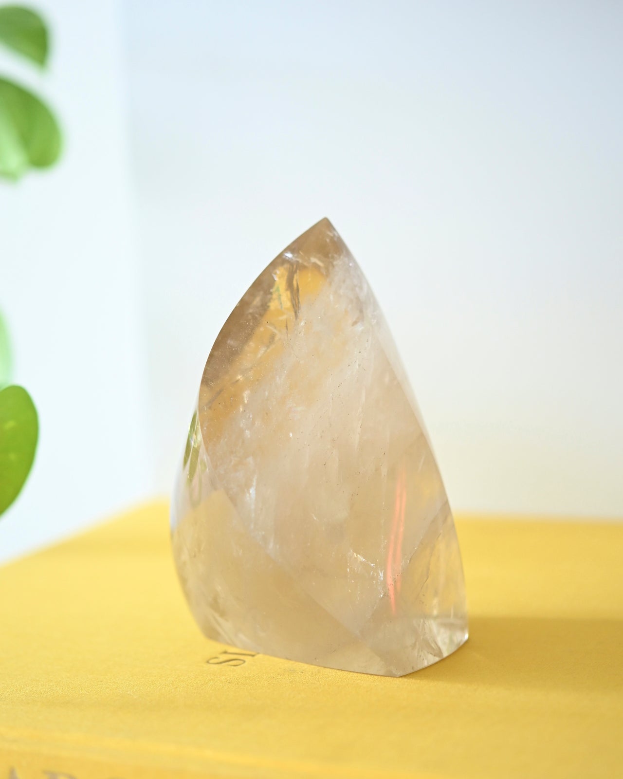 Citrine Freeform 5 inch