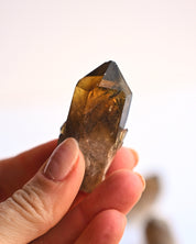 Mini Smoky Elestial Citrine Point