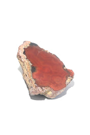 Rare Condor Agate Geode