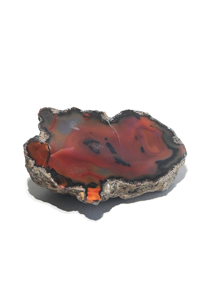 Rare Condor Agate Geode