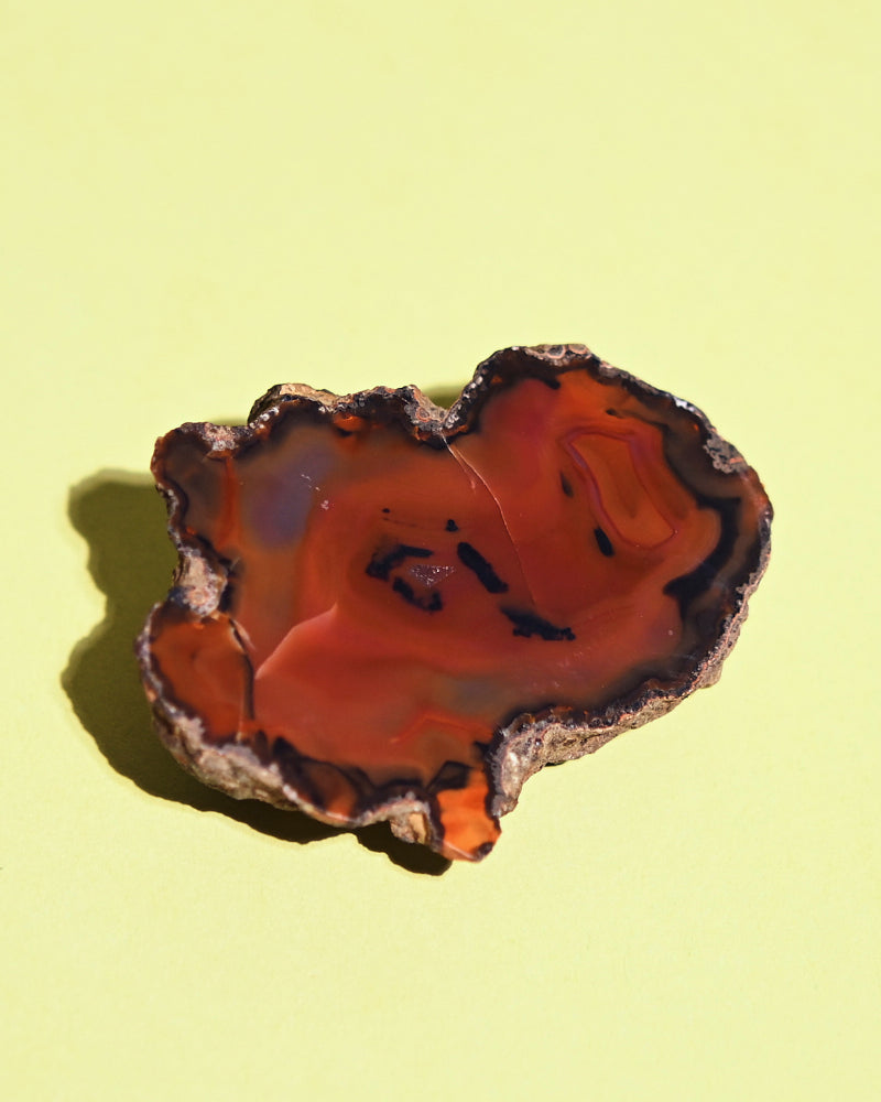 Rare Condor Agate Geode