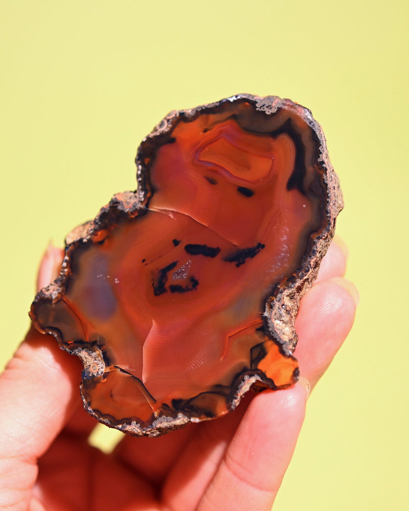 Rare Condor Agate Geode