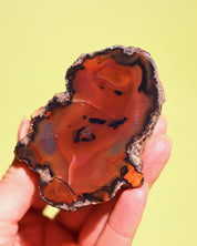 Rare Condor Agate Geode