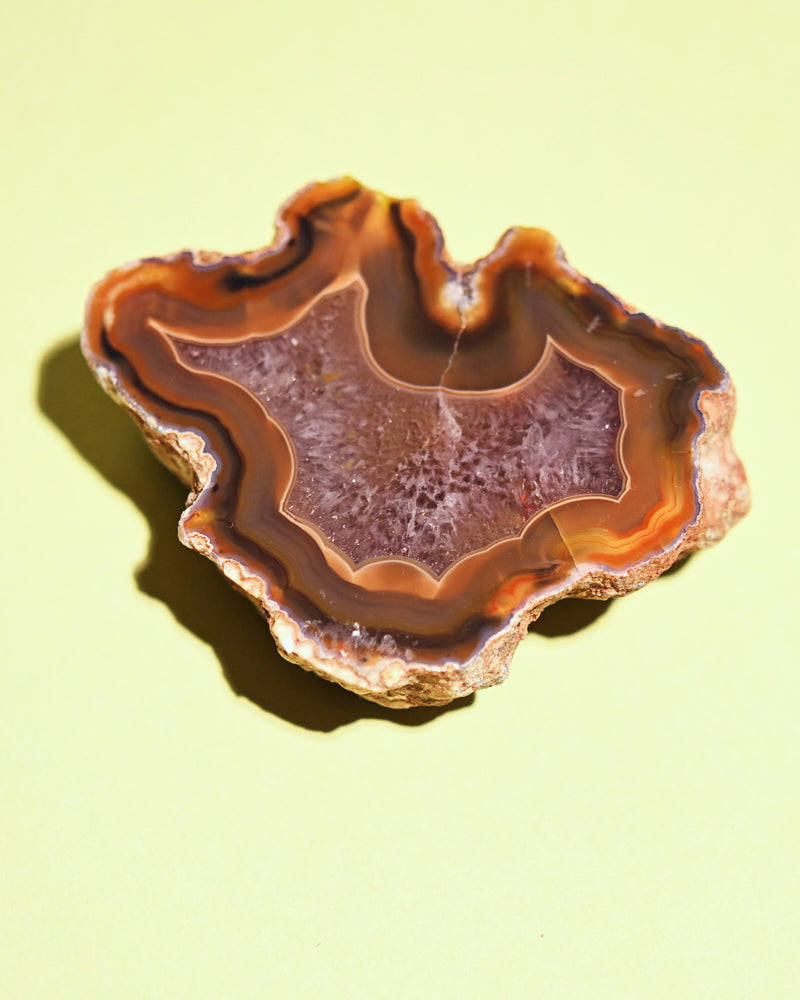 Rare Condor Agate Geode