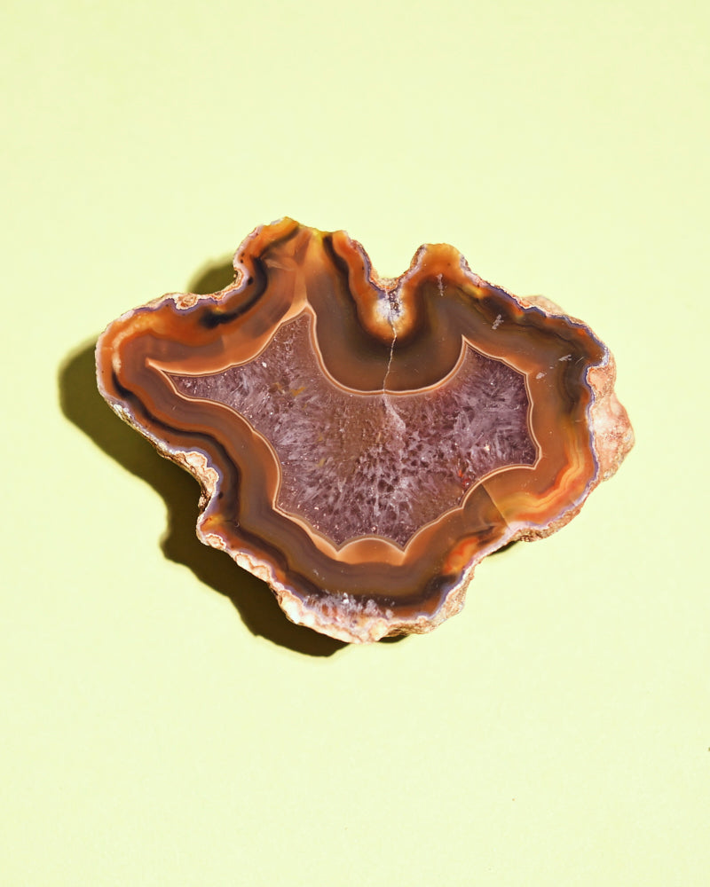 Rare Condor Agate Geode