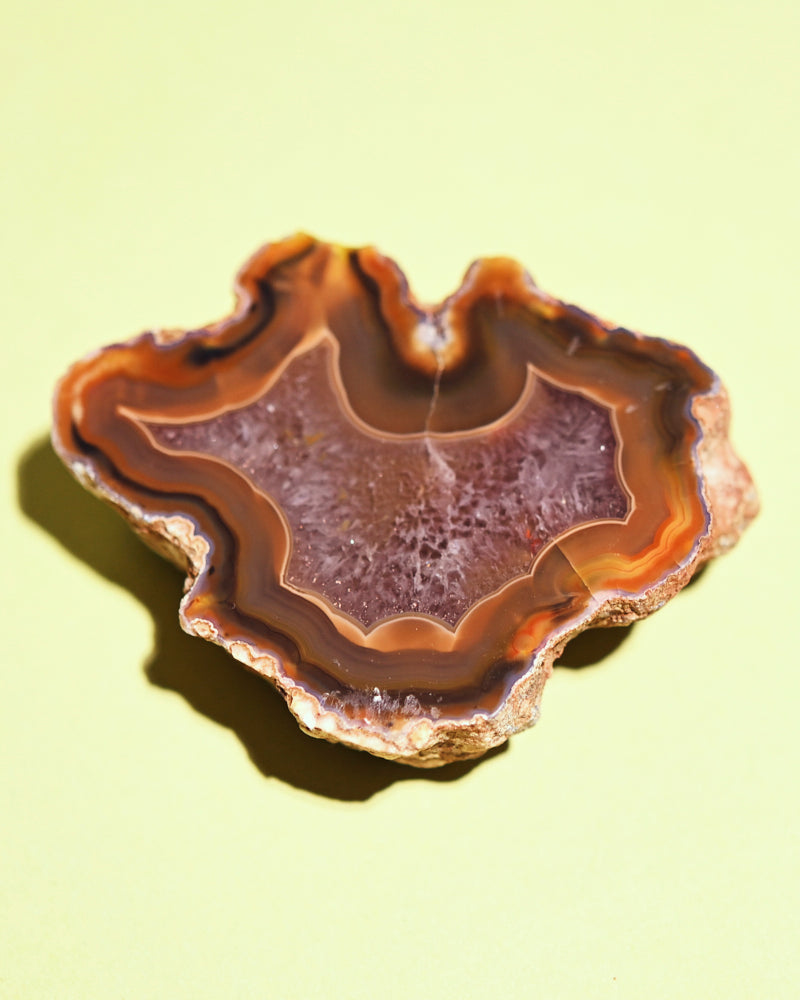 Rare Condor Agate Geode