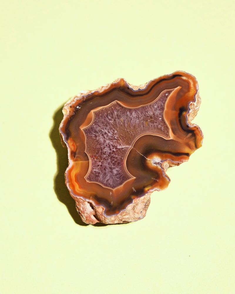 Rare Condor Agate Geode