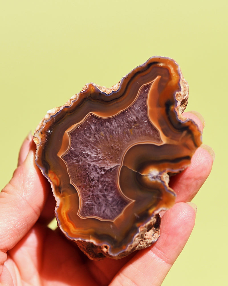 Rare Condor Agate Geode