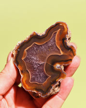 Rare Condor Agate Geode