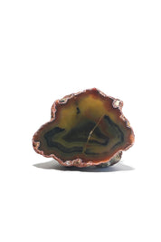 Rare Condor Agate Geode