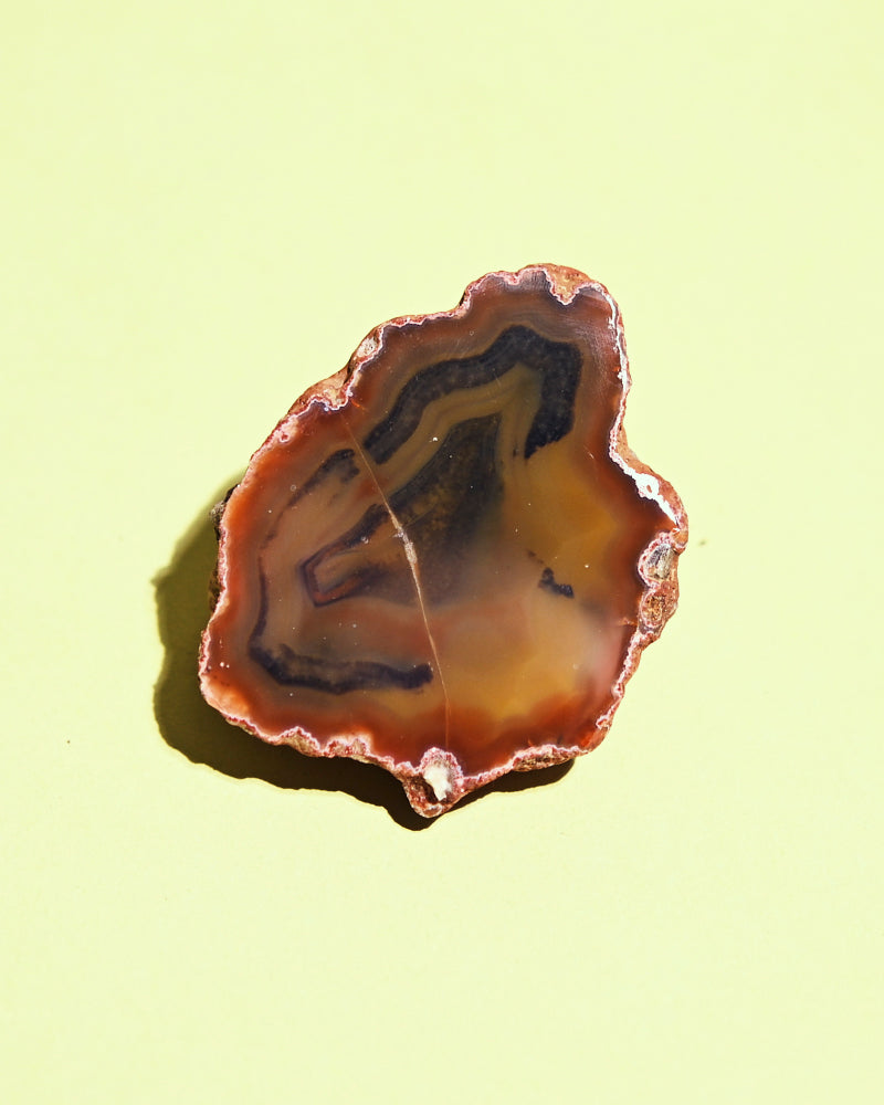 condor-agate--120---15129.jpg