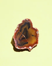 Rare Condor Agate Geode