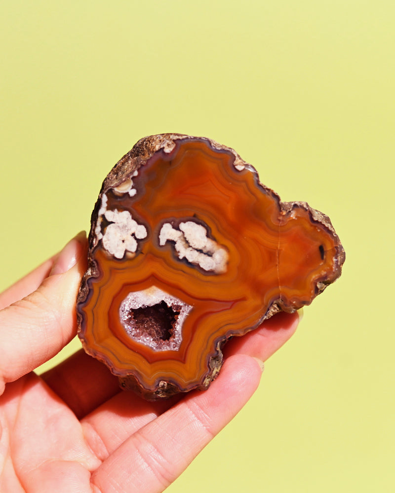 Rare Condor Agate Geode