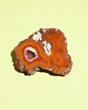 Rare Condor Agate Geode