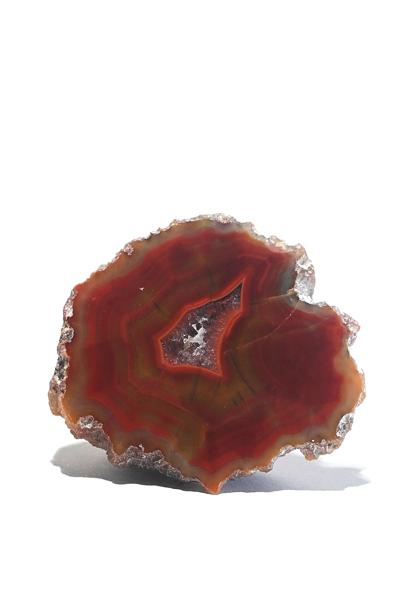 Rare Condor Agate Geode