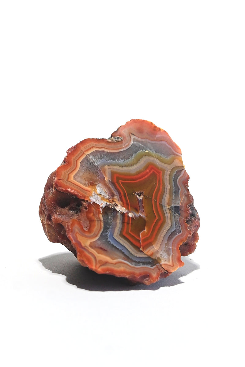 Rare Condor Agate Geode