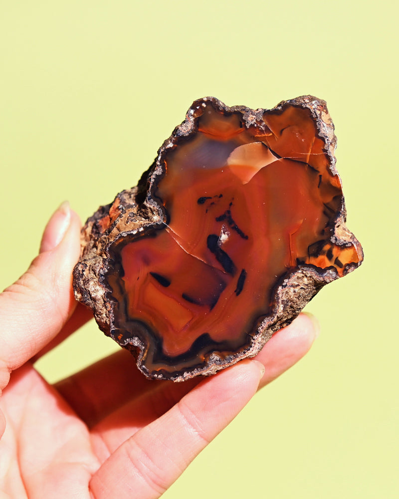 condor-agate--173--15122.jpg