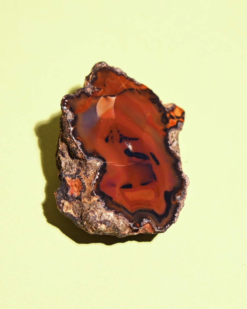 condor-agate--173--15125.jpg