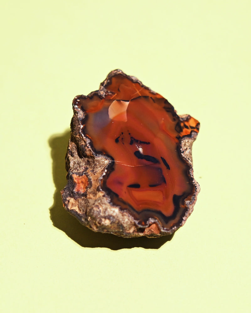 condor-agate--173--15126.jpg