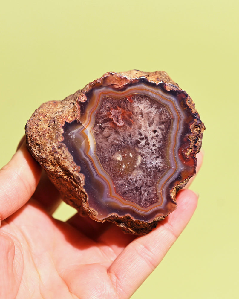 Rare Condor Agate Geode