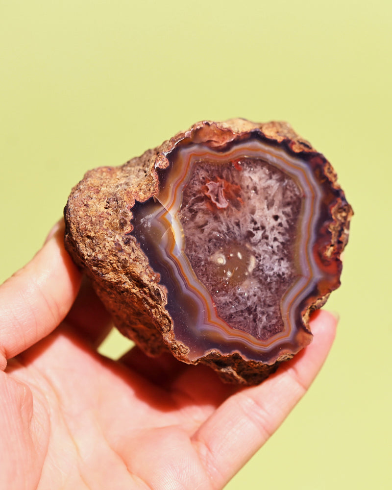 Rare Condor Agate Geode