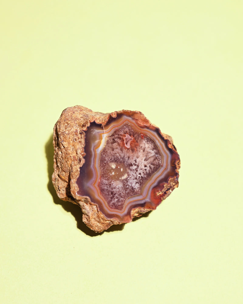 Rare Condor Agate Geode