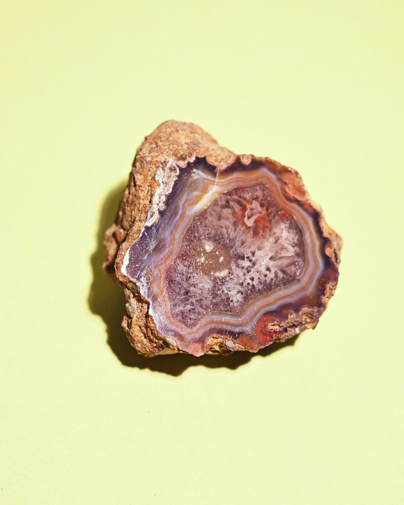 Rare Condor Agate Geode