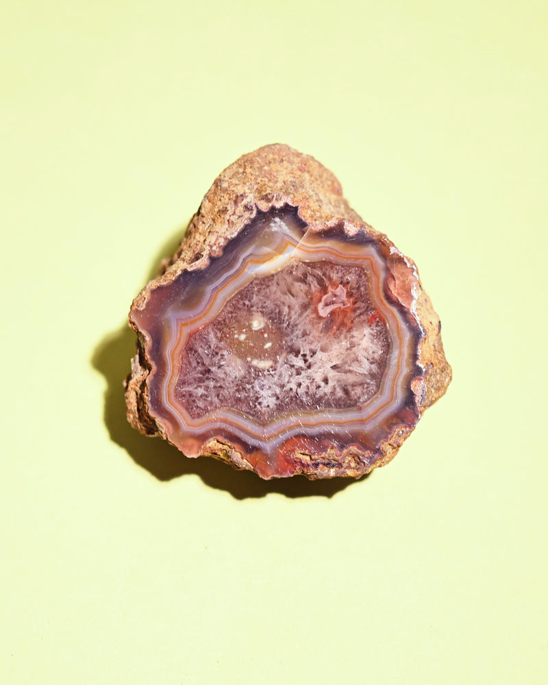 Rare Condor Agate Geode