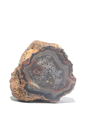 Rare Condor Agate Geode