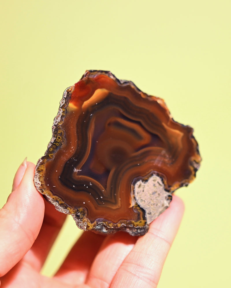 condor-agate--89---15139.jpg