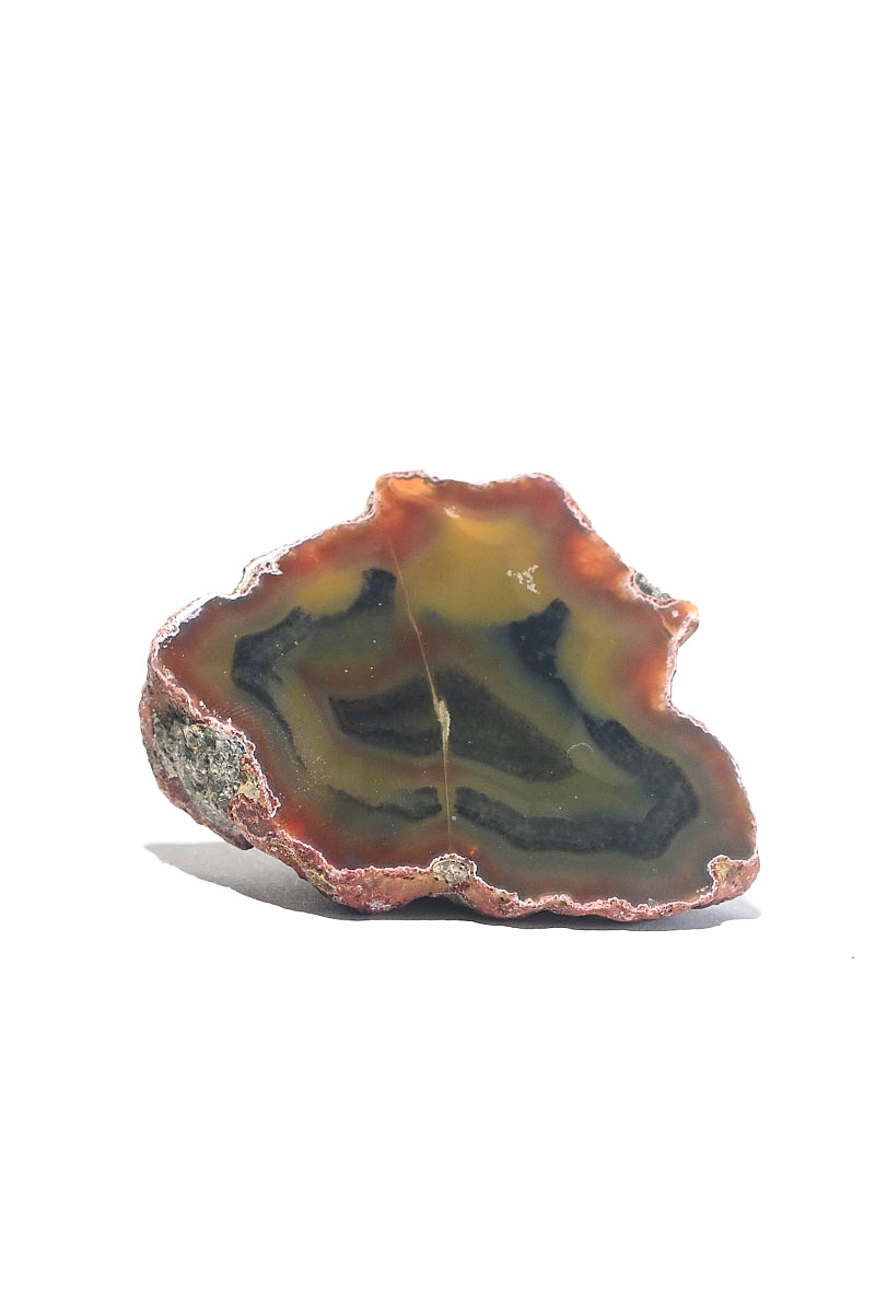 condor-agate--94--------11998.jpg