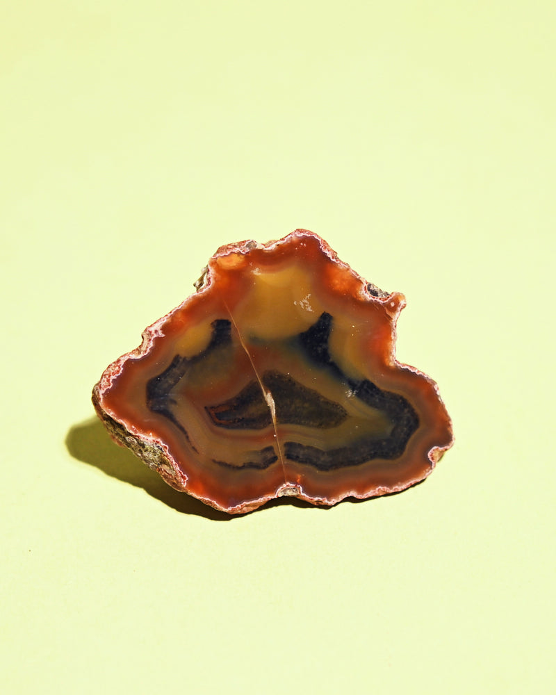 condor-agate--94---15157.jpg