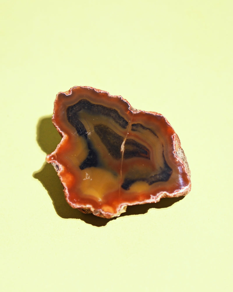 condor-agate--94---15160.jpg