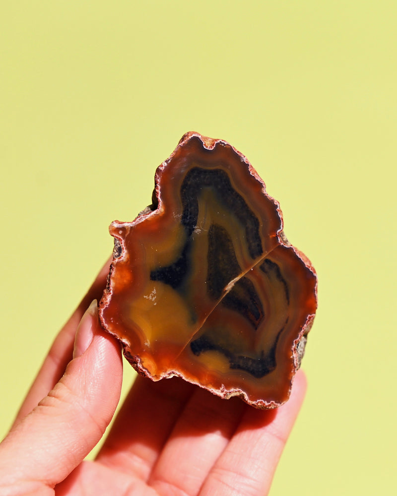 Rare Condor Agate Geode