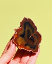 Rare Condor Agate Geode