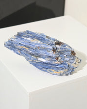 XL Blue Kyanite 3.7lbs