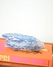 XL Blue Kyanite 4.1lbs